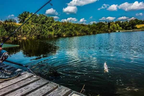 Pesca Fondo Del Lago Fondo Viaje —  Fotos de Stock