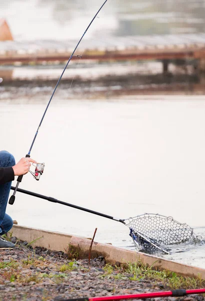 Trucha Pesca Fondo Viaje Fondo — Foto de Stock