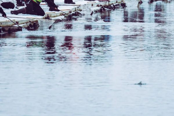 Trout Fishing Lake Fishing Recreation — Stock Photo, Image