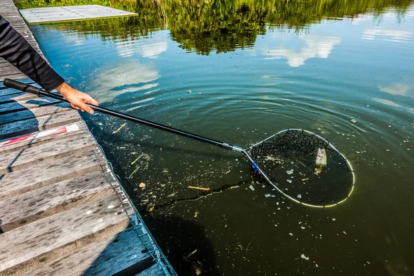 Öring Fiske Sjön Resa Bakgrund — Stockfoto