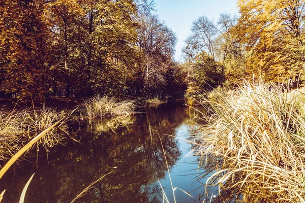 Hermoso Otoño Hermoso Parque Histórico —  Fotos de Stock