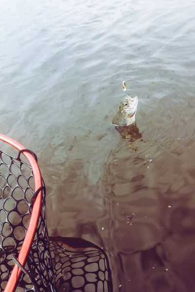 Pesca Esporte Recreação Fundo — Fotografia de Stock