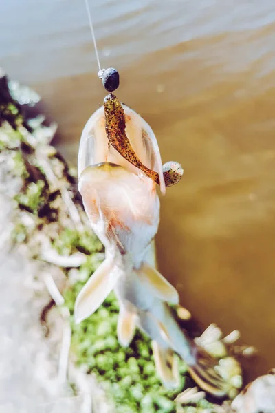 Pesca Descanso Rural Antecedentes Sobre Tema Recreação — Fotografia de Stock