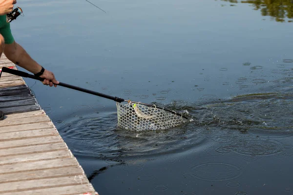 Trota Pesca Sfondo Viaggio Sfondo — Foto Stock