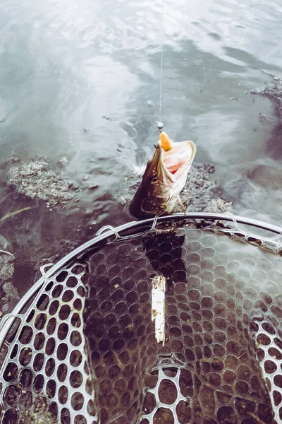 Pesca Lago — Fotografia de Stock