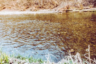 Dağların ve nehirlerin güzel doğası