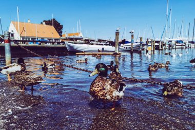 Büyük Danimarka, Kopenhag ve deniz