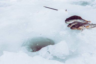 Kış Buzu balıkçılık geçmişi