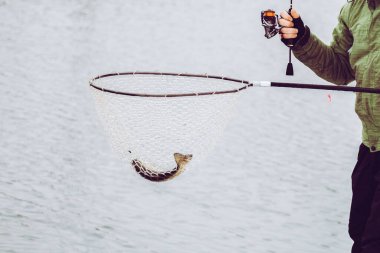 alabalık avı, doğal arka plan