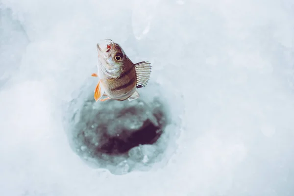 Inverno Ice Pesca Sfondo — Foto Stock