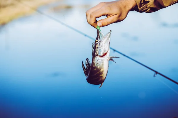 Pesca Lúcio Lago Recreação Pesca — Fotografia de Stock