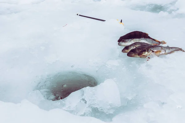 Winter Ice Fishing Background — Stock Photo, Image