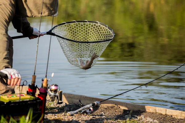 Taimenen Kalastustausta Matkatausta — kuvapankkivalokuva