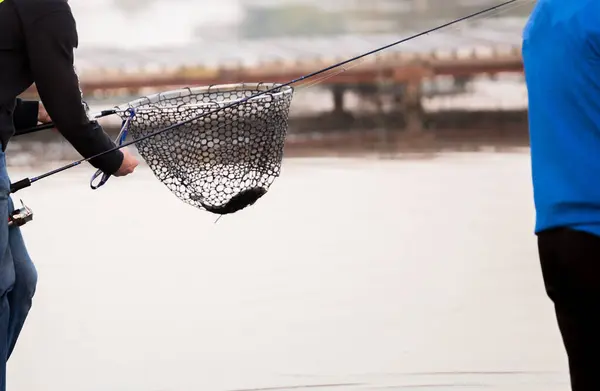 Trucha Pesca Fondo Viaje Fondo — Foto de Stock