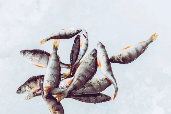 Winter Eisfischen Hintergrund — Stockfoto