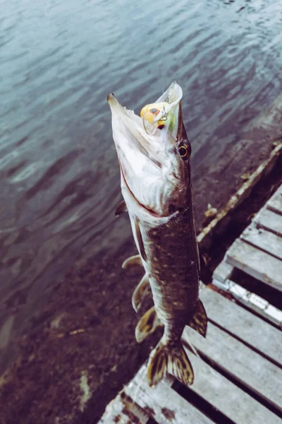 湖での釣り — ストック写真