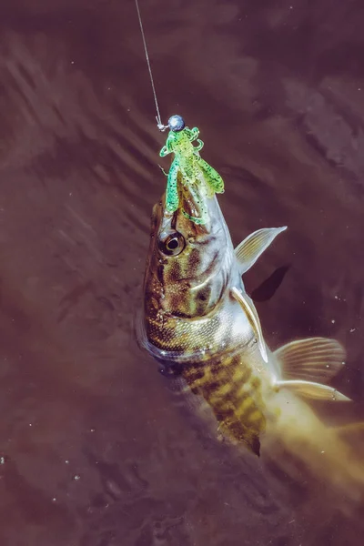 Pesca Descanso Rural Antecedentes Sobre Tema Recreação — Fotografia de Stock