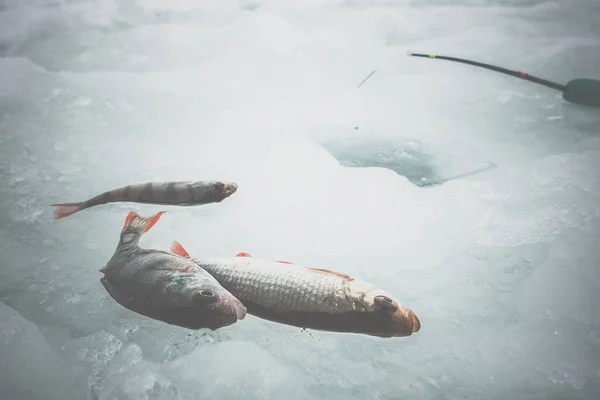 Zimowe Tło Połowów Lodu — Zdjęcie stockowe