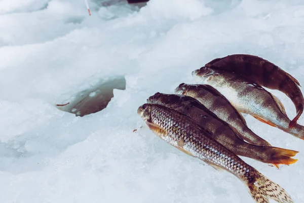 Inverno Fundo Pesca Gelo — Fotografia de Stock