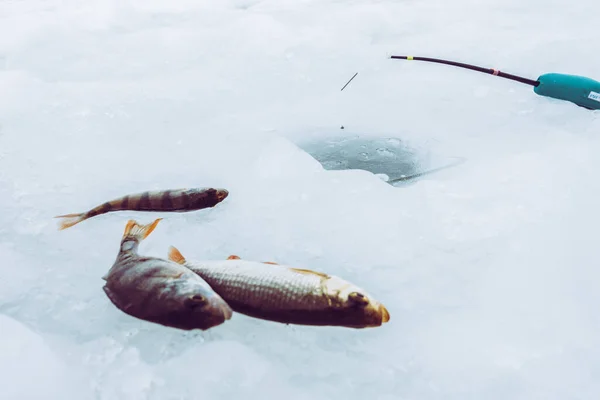 Kış Buzu Balıkçılık Geçmişi — Stok fotoğraf