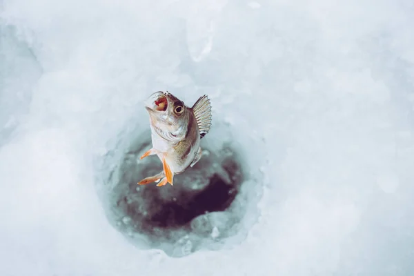 Téli Jéghalászati Háttér — Stock Fotó