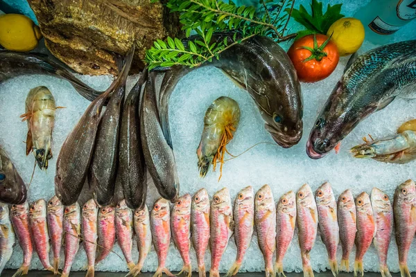 Pescado Sobre Hielo Restaurante Pescado Fondo Viaje —  Fotos de Stock