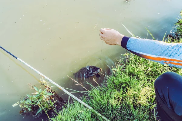 Pesca Lago Naturaleza Recreación Fondo — Foto de Stock