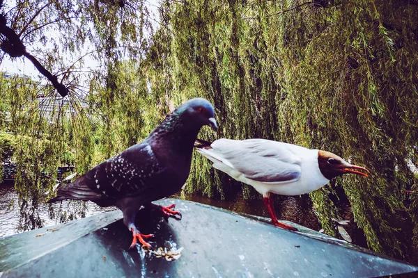 Kopenhag Sokakları Eğlence Yerleri Kopenhag Gezisi — Stok fotoğraf