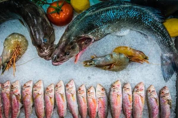 Pescado Sobre Hielo Restaurante Pescado Fondo Viaje — Foto de Stock