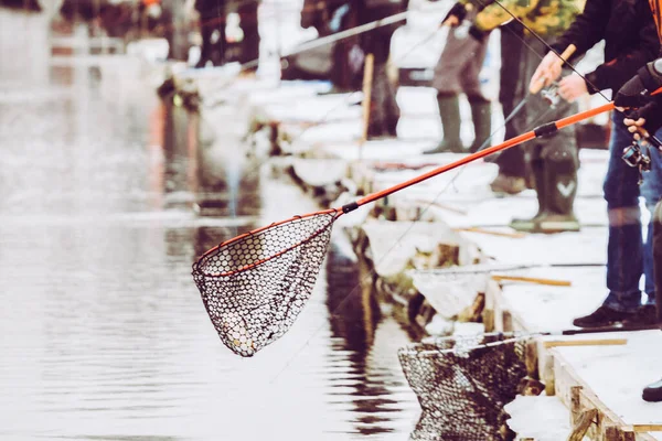 Pesca Truchas Fondo Natural — Foto de Stock