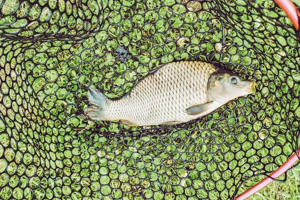 Fiske Sjö Natur Rekreation Bakgrund — Stockfoto