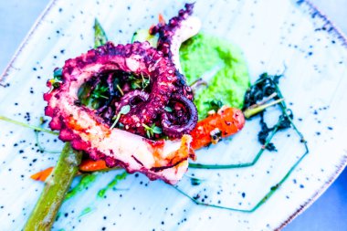 Izgara gezisi arka planında ahtapot