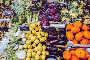 Kopenhag 'ın sokakları ve eğlence yerleri, Kopenhag gezisi.