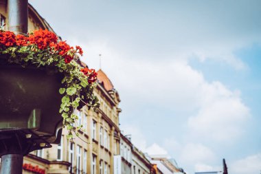 Wrocaw, Polonya - 15 Haziran 2019. Wroclaw şehrinin caddeleri ve evleri. Şehir manzarası