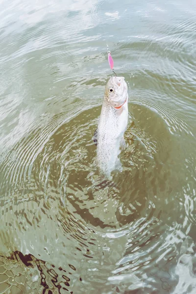 Pêche Truite Dans Lac Pêche Loisirs — Photo