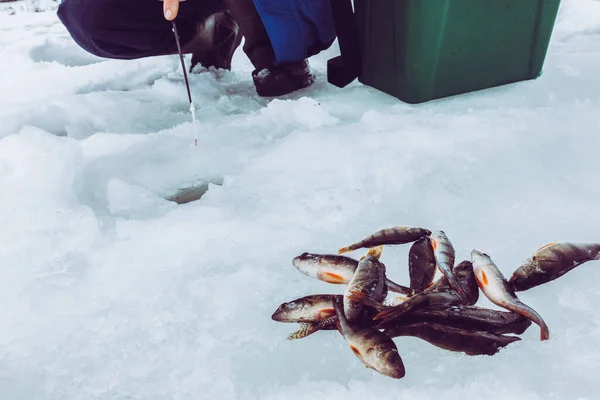 Invierno Hielo Pesca Fondo — Foto de Stock