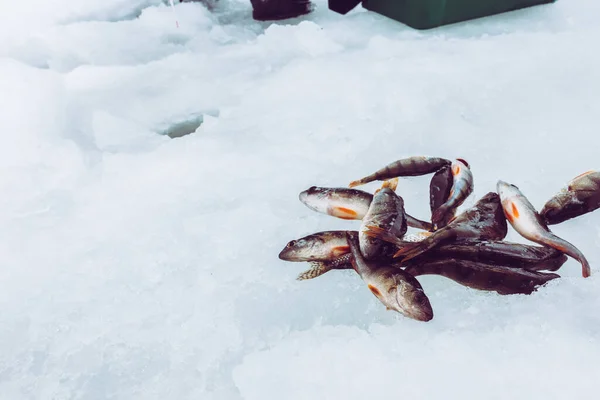 Invierno Hielo Pesca Fondo — Foto de Stock