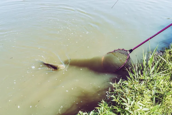 Pesca Lago Naturaleza Recreación Fondo —  Fotos de Stock