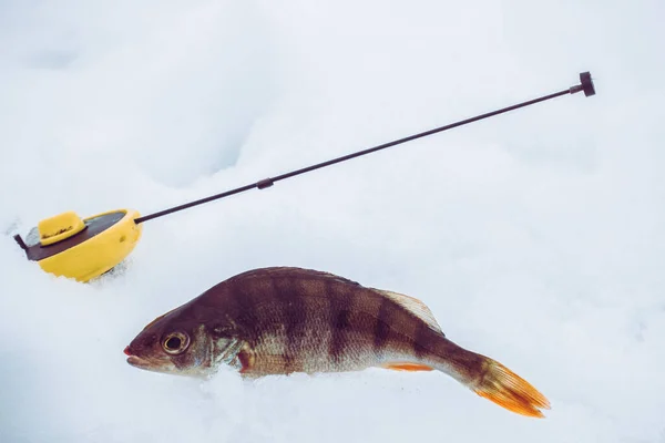 Winter Ice Fishing Background — Stock Photo, Image