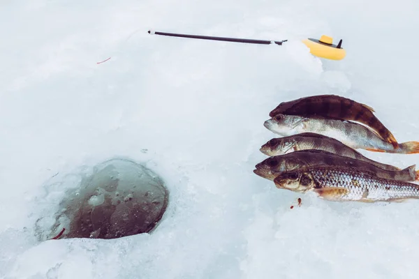 Invierno Hielo Pesca Fondo — Foto de Stock