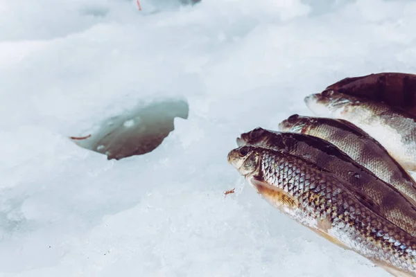 Inverno Fundo Pesca Gelo — Fotografia de Stock