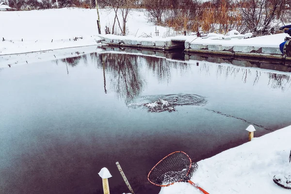 Öring Fiske Sjön Bakgrund — Stockfoto
