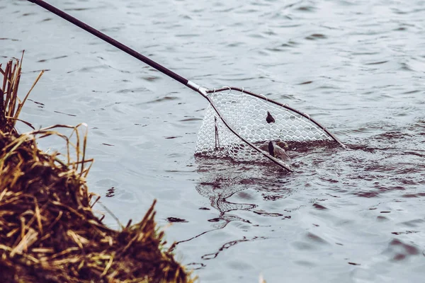 Pike fishing on the lake. Fishing recreation