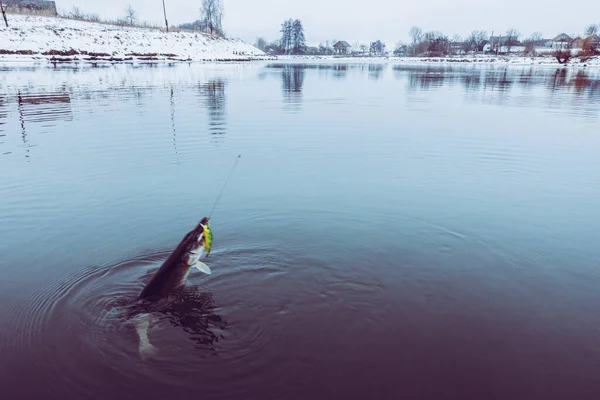 Pesca Esporte Recreação Fundo — Fotografia de Stock