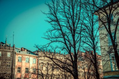 Muhteşem kış Lviv mimarisi ve sokakları