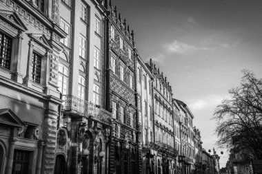 Muhteşem kış Lviv mimarisi ve sokakları