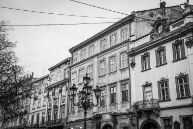 Muhteşem kış Lviv mimarisi ve sokakları