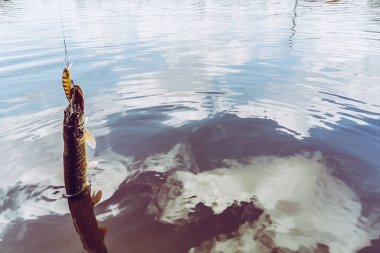 Balıkçılık, köy dinlenmesi. Rekreasyon temasının arkaplanı