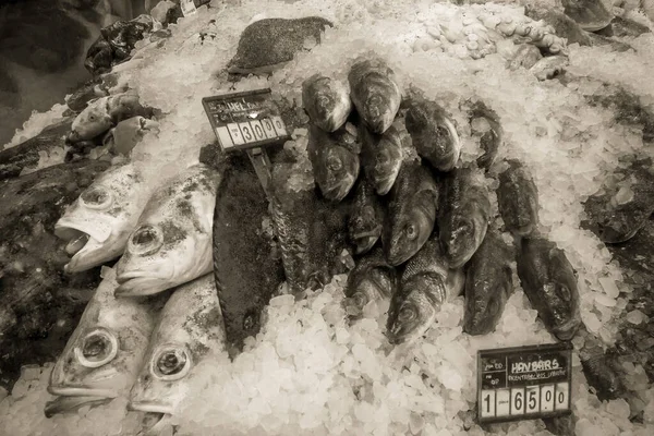 Peixes Mariscos Frescos Gelo Mercado — Fotografia de Stock