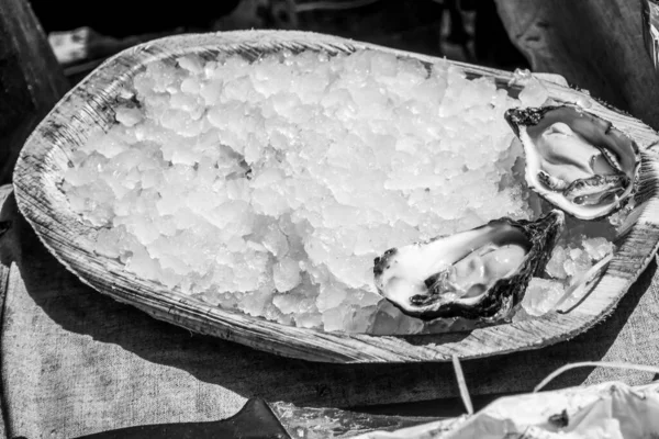 Ostras Frescas Colocadas Sobre Hielo —  Fotos de Stock